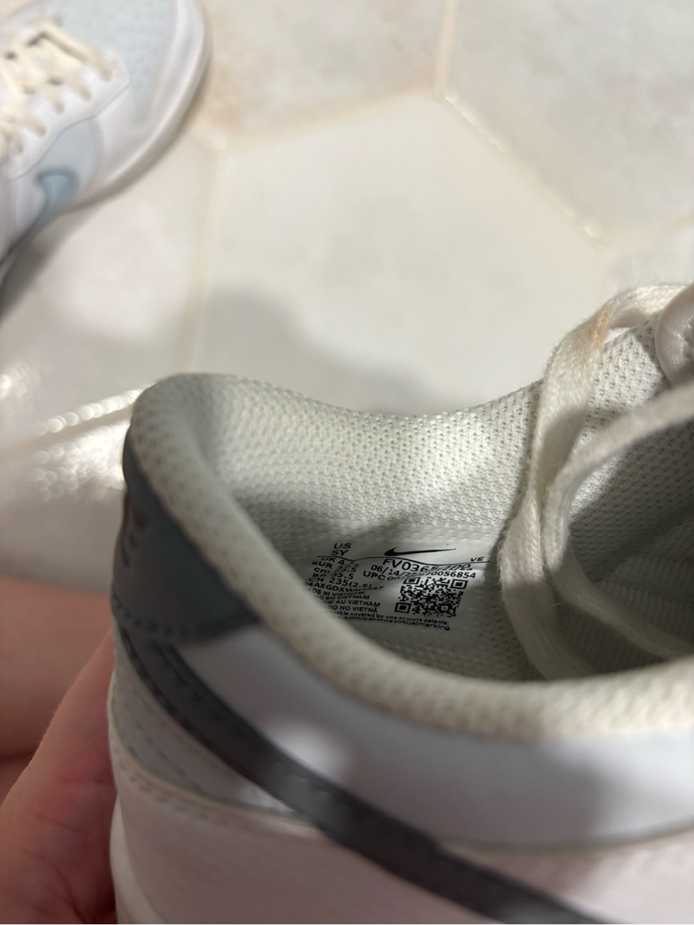 Nike Dunks View 3